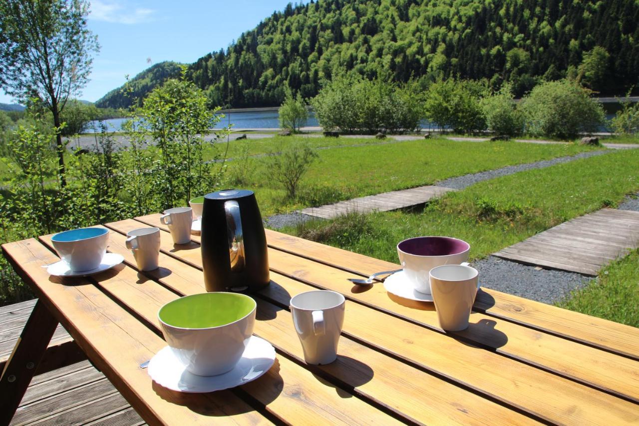 Camping Des Lacs*** Willa Celles-sur-Plaine Zewnętrze zdjęcie